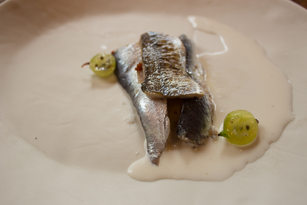 Sardines marinées et fumées, pommes de terre confites au beurre, crème d'amande, groseilles maquereaux