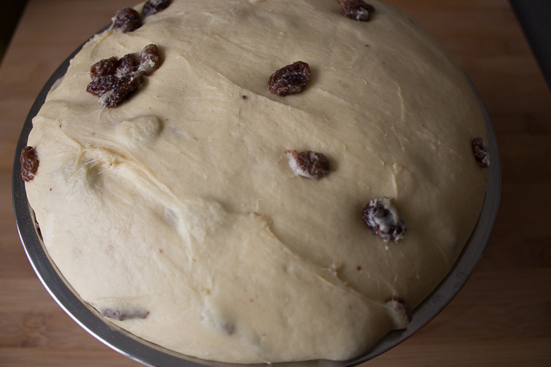 Pâte à kougelhopf après la pousse